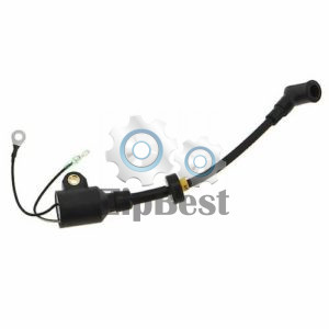 Катушка зажигания В Parsun T 9.9-15