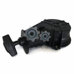 Стартер Parsun T3.6